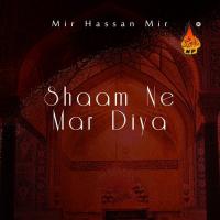 Ghum Sakina Ko Mile Mir Hassan Mir Song Download Mp3