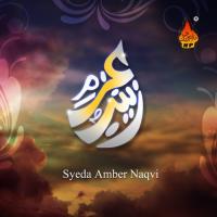 Haey Sakina Syed Aftab Ali Qadri Chishti Song Download Mp3