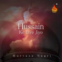 Zainab Nikal Na Pai Murtaza Nagri Song Download Mp3