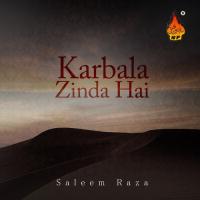 Har Matmi Ki Jholi Ko Bhar Do Saleem Raza Song Download Mp3