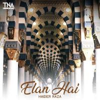 Elan Hai Haider Raza Song Download Mp3