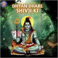 Purusha Suktam (Shiva) Vighnesh Ghanapaathi,Gurumurthi Bhat,Shridhara Bhat Song Download Mp3