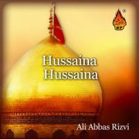 Hussaina Hussaina Ali Abbas Rizvi Song Download Mp3