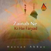 Zainab Ne Ki Hai Faryad Hassan Abbas Song Download Mp3