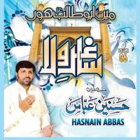 Marhaba Abbas-e-Jari Irfan Haider Song Download Mp3