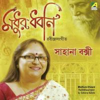 Amar Hiyar Majhe Lukiye Chhile Sahana Bakshi Song Download Mp3