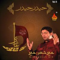 Maula Mehdi Ajaye Mir Hassan Mir Song Download Mp3