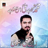 Mohammad Shehar Hai Ali Is Ka Dar Hai Zain Ali Rizvi Song Download Mp3