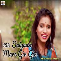 123 Saiyaan Mare Gin Gin Anil Yadav Premi Song Download Mp3