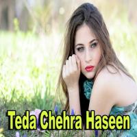 Tusan Ronran Zafar Hanjra Song Download Mp3