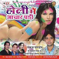 Holi Khele Pankaj Pandey,Vishal Singh,Aarti Sinha,Vinay Vicky Song Download Mp3