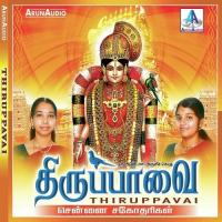 Nayakannai Nindra Chennai Sister Song Download Mp3