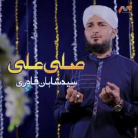 Salle Alaa Syed Shahan Qadri Song Download Mp3