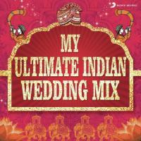 Baraat Continuous Mix Various Artists Song Download Mp3