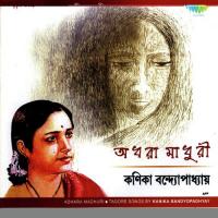 Oi Re Tari Dilo Khule Kanika Banerjee Song Download Mp3