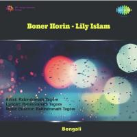 Siuli Phool Siuli Phool Lily Islam Song Download Mp3