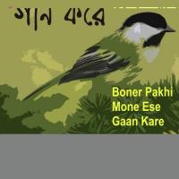 Agun Pani Batas Mati Purna Das Baul Song Download Mp3