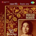 Sanjher Pakhira Phirilo Kulay Firoza Begum Song Download Mp3