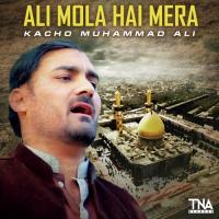 Ali Mola Hai Mera Kacho Muhammad Ali Song Download Mp3