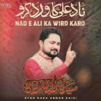 Nad E Ali Ka Wird Karo Syed Raza Abbas Zaidi Song Download Mp3