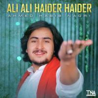 Ali Ali Haider Haider Ahmed Habib Nagri Song Download Mp3