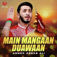 Moula Ali Jesa Duniya Ameer Abbas Ali Song Download Mp3