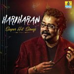 Tegada Marakadidu (From "Namma Preetiya Ramu") Hariharan Song Download Mp3