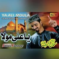 Ya Ali  Moula Salman Ashraf Naqshbandi Song Download Mp3