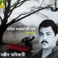 Mor Bina Othe Sanjib Adhikari Song Download Mp3