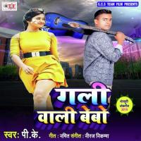 Dil Hamar Leja Ho P K Song Download Mp3