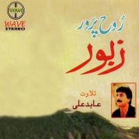 Zaboor 1 - Haqiqi Khushali Abid Ali Song Download Mp3