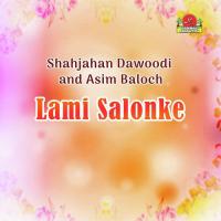 Dil E Pul Tou Mani Asim Baloch Song Download Mp3