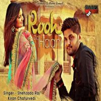 Rooh Da Haani Shehzada Raj,Kiran Chaturvedi Song Download Mp3