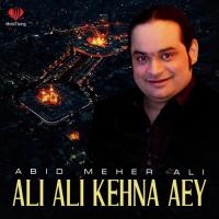 Ali Ali Kehna Aey Abid Meher Ali Song Download Mp3