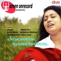 Neelakhashathile Thoovelli Mekhangale Blessy Das Song Download Mp3