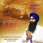 Naam Japat Sukh Paava Bhai Malkiat Singh Ji Gurdaspur Wale Song Download Mp3