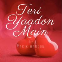 Teri Yaadon Main Akik Haroon Song Download Mp3