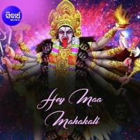 Baisi Pahache Gadagadei Namita Agrawal Song Download Mp3