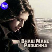 Kahinki Ete Tame Bhala Lagucha Jyotirmayee Nayak Song Download Mp3