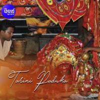 Dhana Juade Jauchu Jaa Namita Agrawal Song Download Mp3