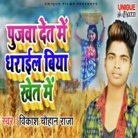 Pujawa Det Me Dharail Biya Khet Me Vikash Chauhan Song Download Mp3