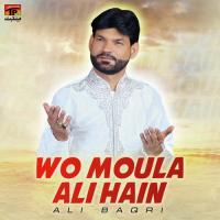 Wo Moula Ali Hain Ali Baqri Song Download Mp3