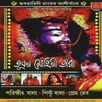 Runu Jhunu Parikshit Bala Song Download Mp3