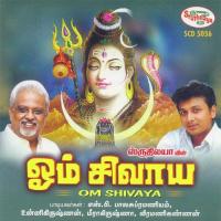 Kailaaya Malai Veeramani Kannan Song Download Mp3