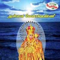 Ennalum Mariyalai Gopikapoornima Song Download Mp3