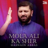 Mola Ali Ka Sher Hasnain Abbas Song Download Mp3