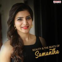 Seethakaalam (From "Son Of Satyamurthy") Yazin Nizar Song Download Mp3