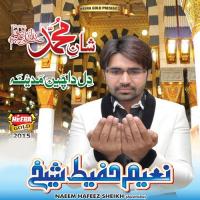 Main Aawan Sheher-E-Madine Naeem Hafiz Sheikh Song Download Mp3