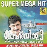 Noorul Huthavu Anwar Sathath Song Download Mp3