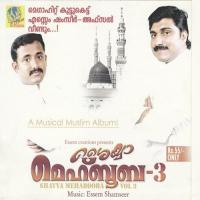 Raappaadi Thengum Viswanath Song Download Mp3